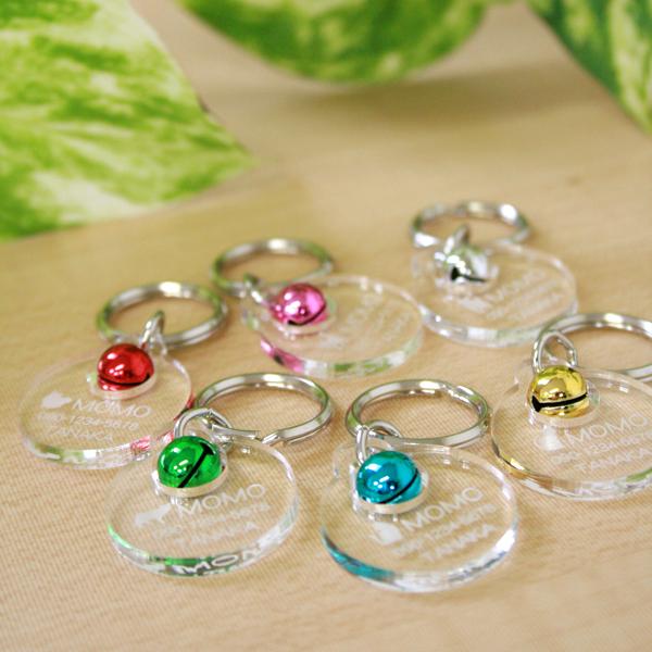 L qD  u T[N^ t v  ( Жʒ ) AN 6F̗ I[_[Ch Vv 킢