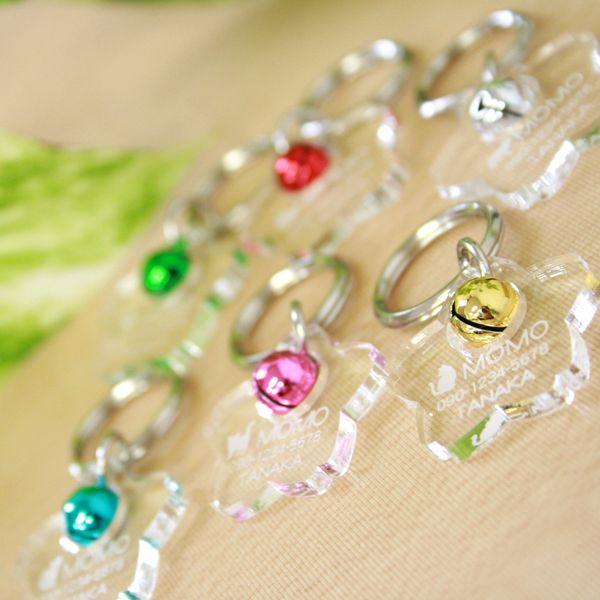 L qD  u Ԃт^ t v ( Жʒ ) AN 6F̗ I[_[Ch Vv 킢