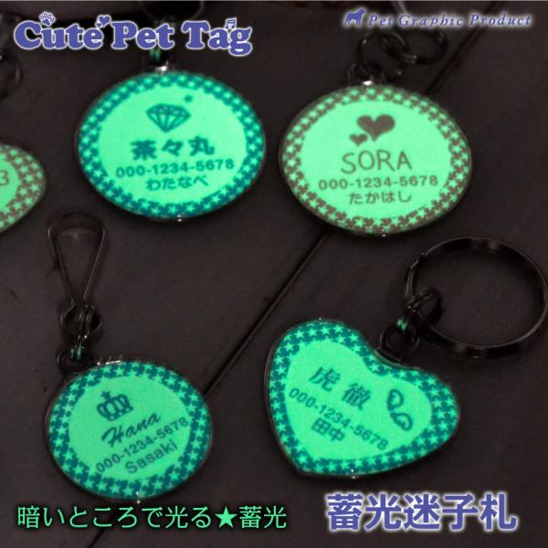 迷子札 犬 キュート 蓄光 ドーミング 名入れ 光る 濡れても安心 防水仕様 滲まない 猫 ペット 名札 タグ ID