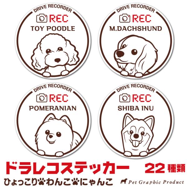 ステッカー  犬 猫 ドライブレコーダー搭載 ひょっこり わんこにゃんこ  REC ドラレコ あおり運転防止 耐水 耐光 サークル型 全22種