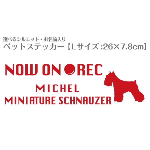 ԗp JbeBOXebJ[  VGbgIׂ I[_[Ch  L XebJ[  u No.54 LTCY v(26×7.8cm)