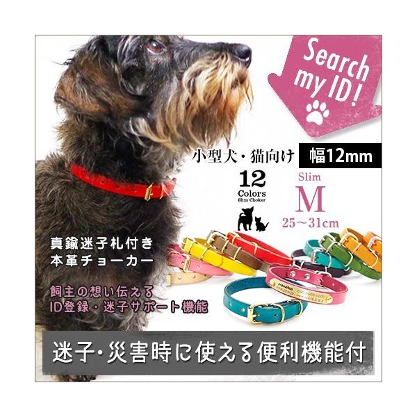 12color 小型犬向けレザーチョーカー迷子札 Mサイズ 25 31cm 幅12mm 真鍮迷子札プレート付き Dejapan 手数料０円で日本 の商品を購買代行 落札代行