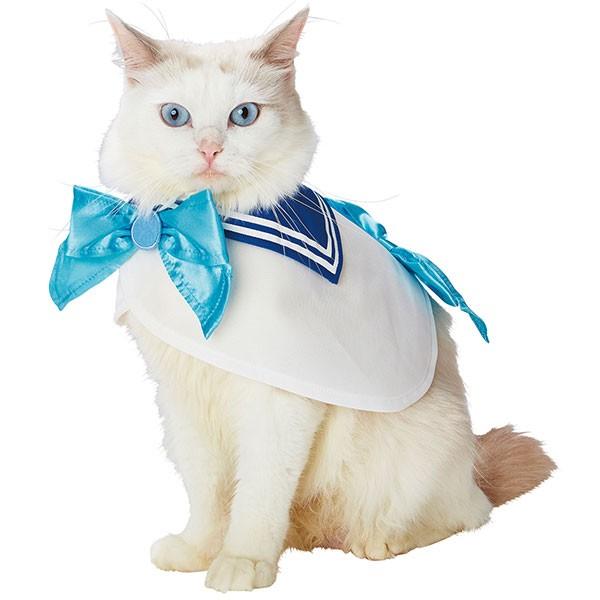 猫服 おしゃれ ペティオ 美少女戦士セーラームーン なりきりケープ セーラーマーキュリー Petio キャラペティ Petio Online Shop ヤフー店 通販 Yahoo ショッピング