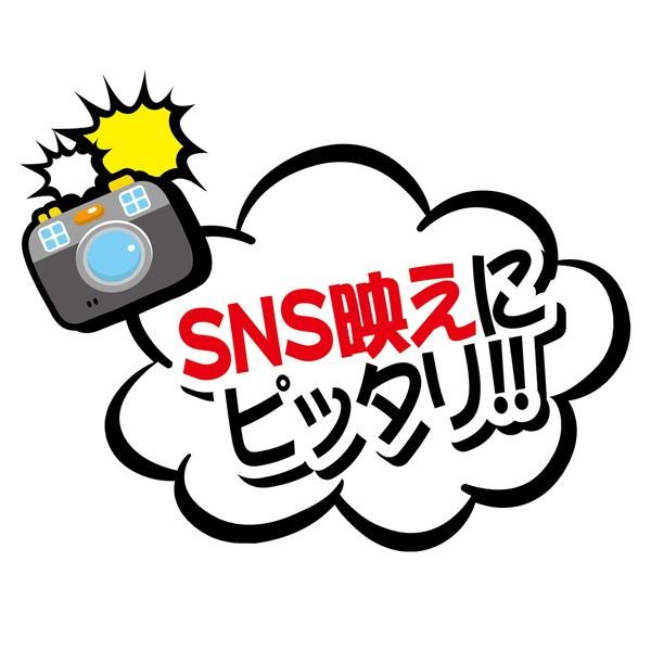 犬服 猫服 ワンピース One Piece 変身着ぐるみウェア チョッパー S ペティオ Petio 超小型犬 小型犬 キャラペティ Petio Online Shop ヤフー店 通販 Yahoo ショッピング