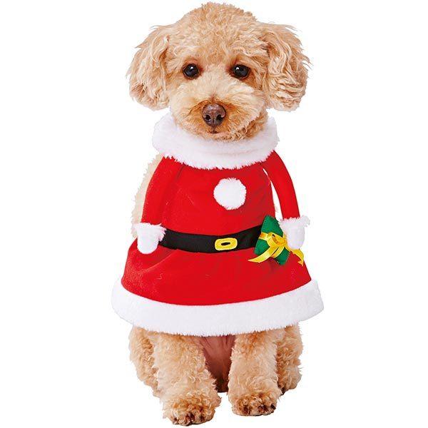 犬服 ペティオ Petio クリスマス 犬用変身着ぐるみウェア サンタガール M イヌ 超小型犬 小型犬 コスプレ W Petio Online Shop ヤフー店 通販 Yahoo ショッピング