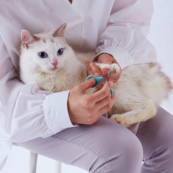 人気沸騰ブラドン ペティオ Petio ネココ カーブつめ切り ストッパー付 猫用 ペティオ (Petio) ネココ カーブつめ切り ストッパー付 猫用