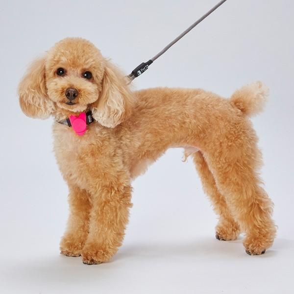 犬用アクセサリー 光る ライト 夜 安全 ペティオ Petio ナイトウォーカー フラッシュポイント ピンク W Petio Online Shop ヤフー店 通販 Yahoo ショッピング