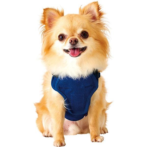 ペティオ Petio 体にぴったりフィットするハーネス リード付 Xs ブルー ミニ犬用 胴輪 リードセット W Petio Online Shop ヤフー店 通販 Yahoo ショッピング