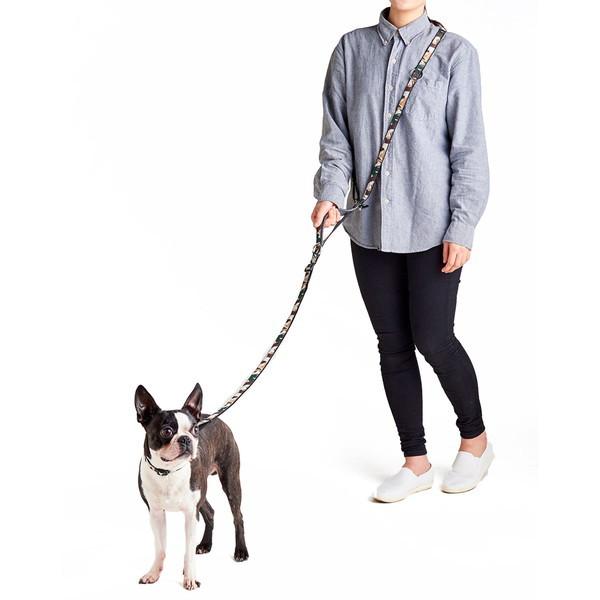 訳アリ】 Petio ペティオ 小型犬 中型犬 大型犬 リード 9本