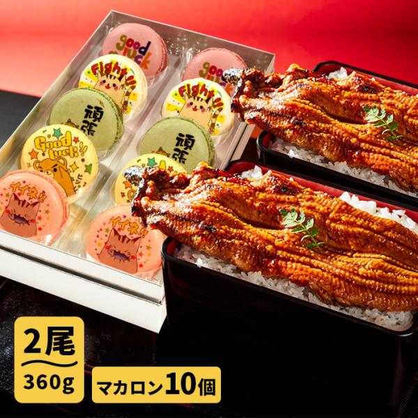 マカロン 10個 魚の人気商品 通販 価格比較 価格 Com