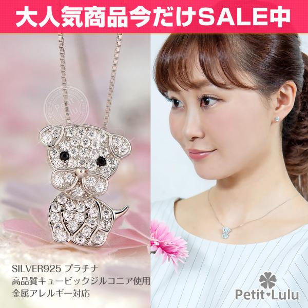 lbNX fB[X _ChCZ  ޏ AM[Ή Vo[  hbO h  Aj} a v[g Mtg LO NX}X