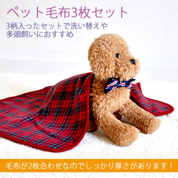 ybgѕz Ђ ybguPbg 3Zbg ͂܂ 50cm×70cm v`o  L  ^ ^