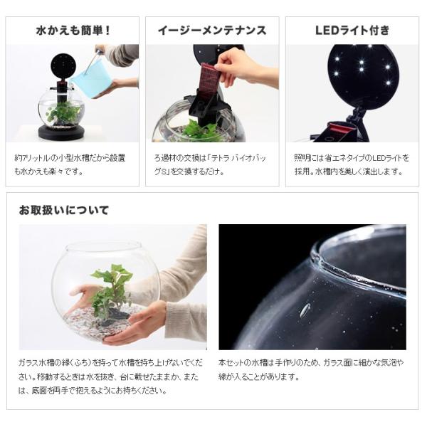 テトラ ウォーターフォール アクアリウム Www Fakfakkab Go Id