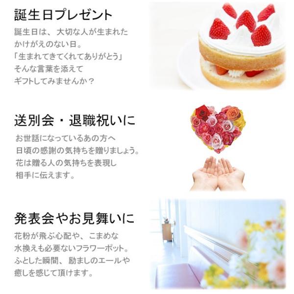 発表会 プレゼント ピアノ バレエ チア 新体操 幼稚園 子ども 子供 雑貨 くま テディベア フラワーポットベア Buyee Buyee 日本の通販商品 オークションの代理入札 代理購入