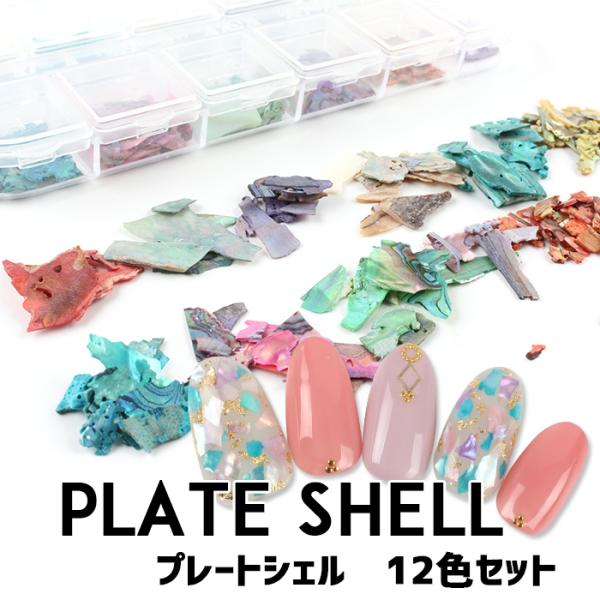 ネイル ジェルネイル ネイルパーツ プレートシェル12色セット シェル 夏ネイル 超PayPay祭