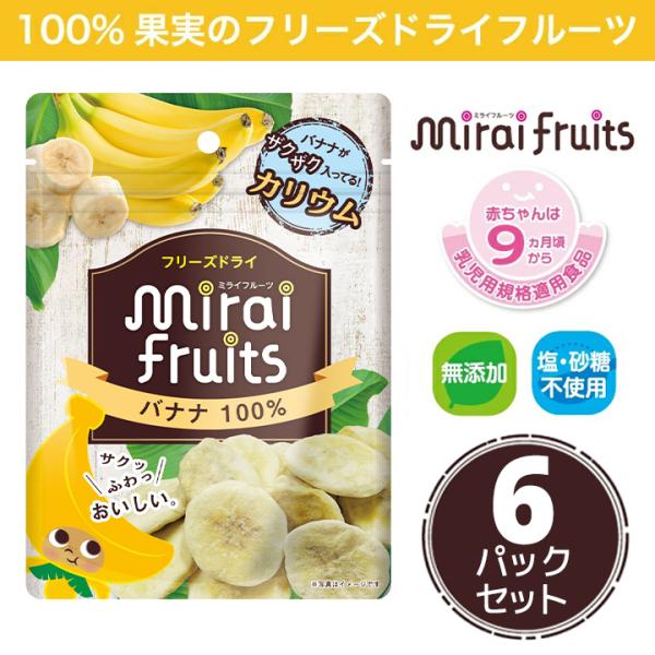 フリーズドライフルーツ 無添加  バナナ12g×10パック  離乳食にも
