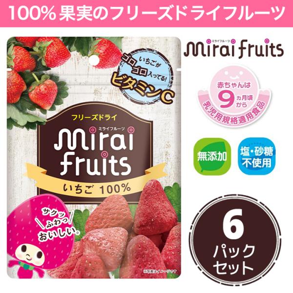 フリーズドライフルーツ 無添加 いちご 離乳食 防災食品 8g×10パックセット お子様に大人気