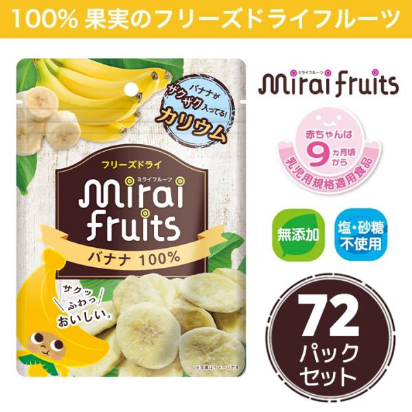 フリーズドライフルーツ 無添加  バナナ12g×10パック  離乳食にも