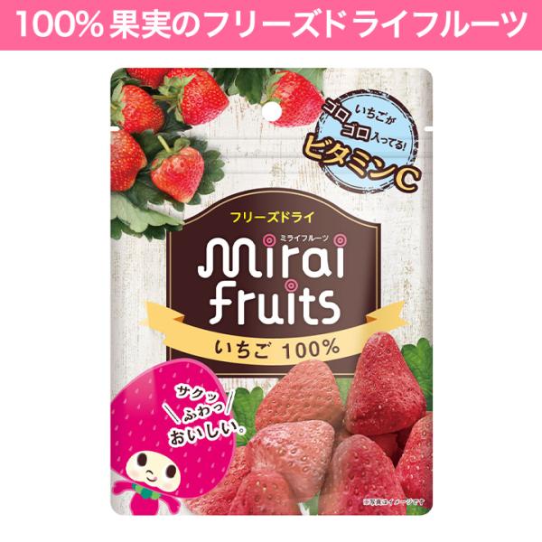 フリーズドライフルーツ 無添加 いちご 離乳食 防災食品 8g×10パックセット お子様に大人気