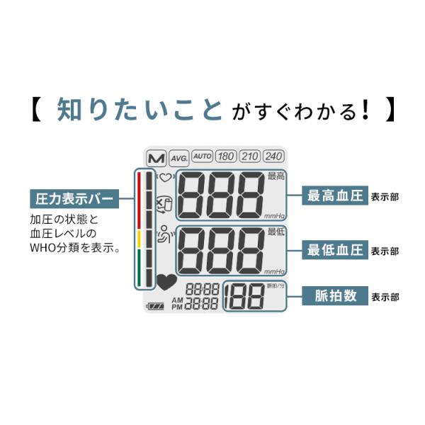 petkan_104530_4_d_20231127105629