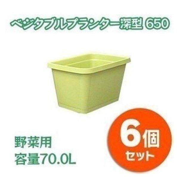 BOTANIZE プランター　未使用　6個セット BOTANIZE プランター 未使用 6個セット