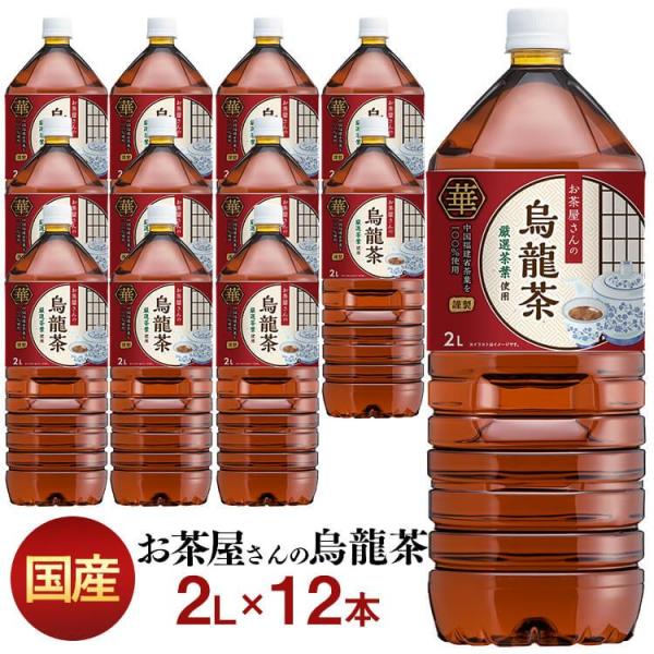（検索用：お茶 飲料 ドリンク ペットボトル 2リットル ウーロン茶 エルディーシー 風味豊か 日本の水 まとめ買い飲み物 4970111470015）