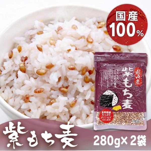 もち麦 国産 280g 2袋 外皮付き ダイシモチ 紫もち麦 国産もち麦 雑穀 白米と一緒に炊くだけ ベストアメニティ 国内産紫もち麦 * (B) (メール便)