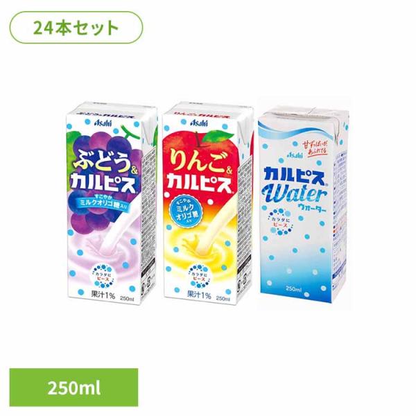 （検索用：カルピス エルビー CALPIS 乳酸菌 酵母 発酵 自然製法 旅行 常温保存 紙パック ）●翌日優良配送対象商品につきまして●下記の場合は対象外となります。・13時以降(休業日は12時以降)のご注文の場合・お届け先が対象地域外の...