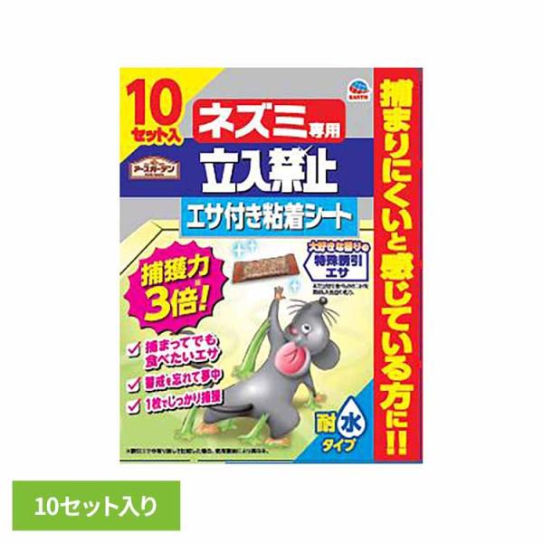 他サイト： 駆除剤 アース製薬 ねずみ捕り ネズミ専用立入禁止エサ付き粘着シート 10セット入の商品画像