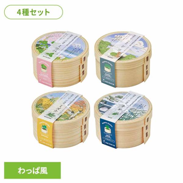 （検索用：栽培キット 栽培セット 三つ葉 しそ 水菜 ネギ 葱 聖新陶芸 ）●翌日優良配送対象商品につきまして●下記の場合は対象外となります。・13時以降(休業日は12時以降)のご注文の場合・お届け先が対象地域外の場合(離島も含む)・決済完...