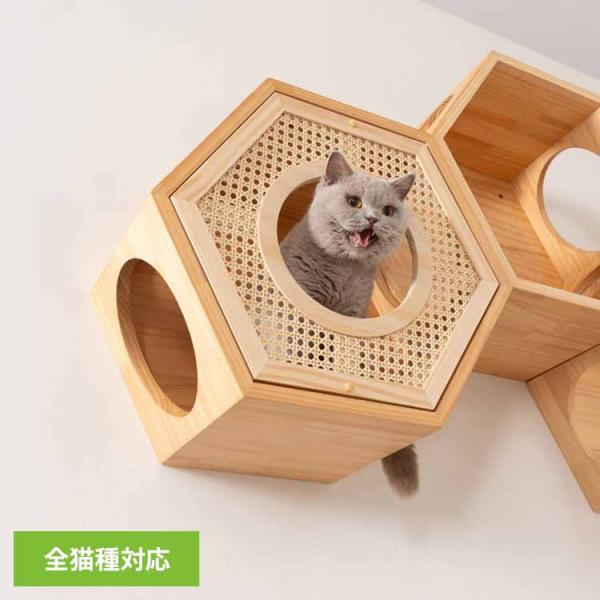 キャットウォーク キャットステップ 猫用品 ペット用品 猫家具 猫ベッド 壁掛け ペット共生 猫部屋 六角ハウスカバー(RATTAN) MZ0022