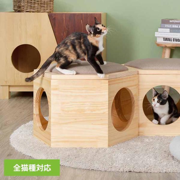 （検索用：キャットウォーク キャットステップ 猫用品 ペット用品 猫家具 猫ベッド 壁掛け ペット共生 猫部屋 賃貸おすすめ 0641361328626）●翌日優良配送対象商品につきまして●下記の場合は対象外となります。・13時以降(休業日...