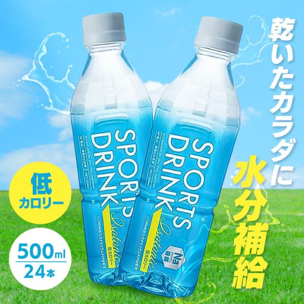 LDC スポーツドリンク 500ml 24本 ペットボトル スポドリ 送料無料