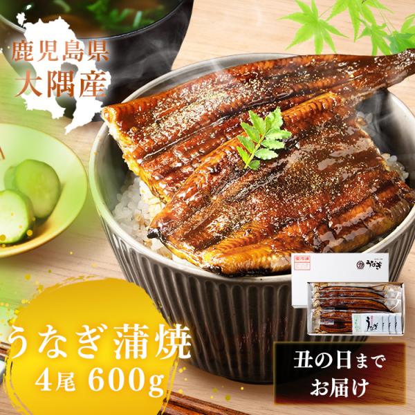 大隅産鰻 うなぎ 蒲焼き 鹿児島県 大隅産 うなぎ蒲焼 4尾 600g たれ 山椒付 土用