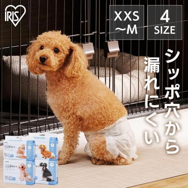 他サイト： ペット用おむつ トイレ 犬 猫 おむつ オムツ マナー POM アイリスオーヤマ 犬 オムツ 紙おむつ 猫 オス メスの商品画像