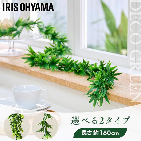 新スーニャ＊ベルナール カトラン 緑色の背景のアイリス 額縁 アート 新スーニャ＊ベルナール カトラン 緑色の背景のアイリス 額縁