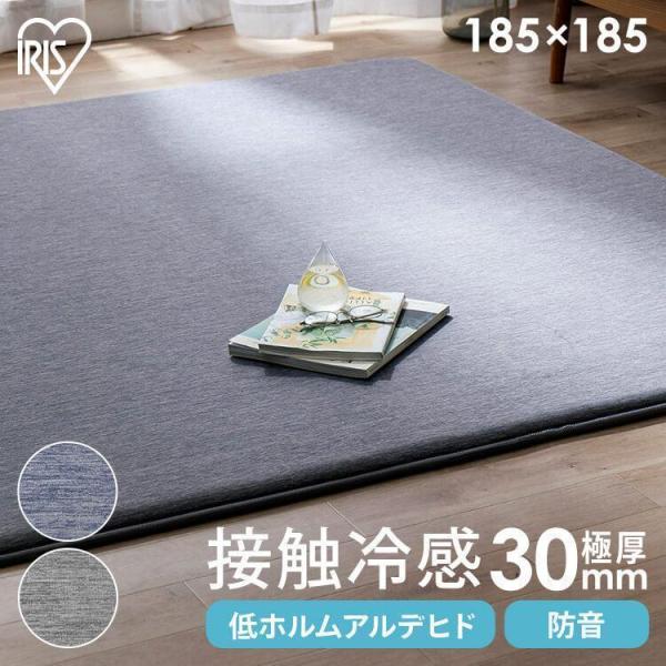 楽天市場】【公式】ラグ 夏用 接触冷感 ラグマット 2畳 185 185