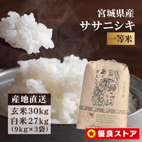 ササニシキ 玄米 30kg ささにしき 精米 27kg 送料無料 令和6年産 ササニシキ 玄米 30kg ささにしき 精米 27kg 送料無料 令和6年産