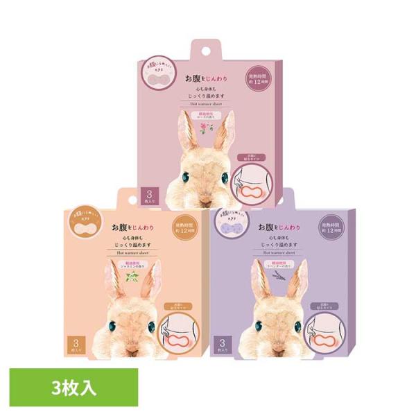 （検索用：カイロ 貼るカイロ フェムケア 4991936388033 4991936388026 4991936388019）●翌日優良配送対象商品につきまして●下記の場合は対象外となります。・13時以降(休業日は12時以降)のご注文の場合...