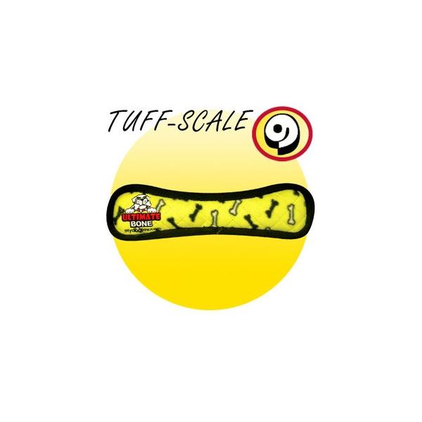 ^tBisteexj M[ {[ CG[ [X^[tH[GWjAO]