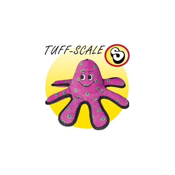 ^tBisteexj ^RWjA [X^[tH[GWjAO]