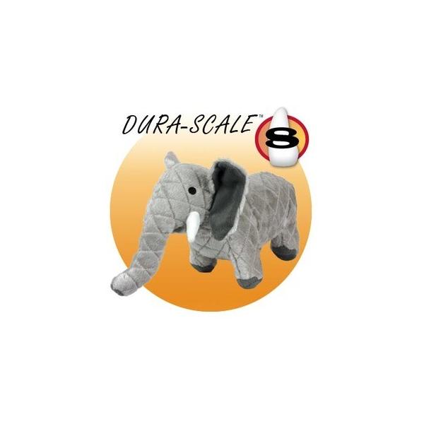 マイティ ゾウ レギュラ