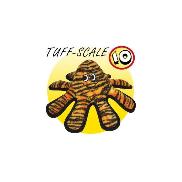 ^tBisteexj KN[`[ X[ [X^[tH[GWjAO]