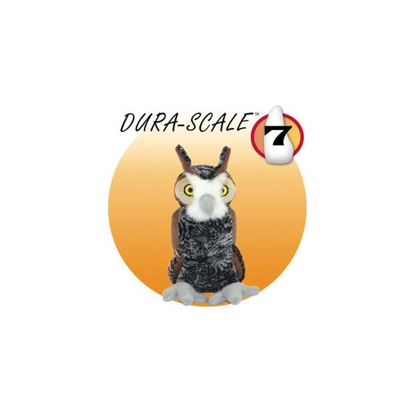 }CeBilhfgsxj WjA ӂ낤 [X^[tH[GWjAO]