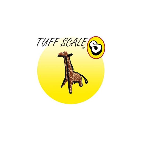 ^tBisteexj WjA  [X^[tH[GWjAO]