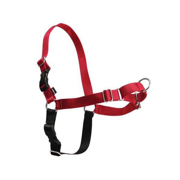 C[W[EH[Nn[lX bh r^l [X^[tH[GWjAO]