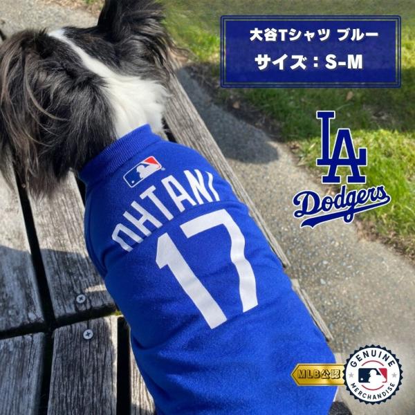 MLB公式 ドジャース 大谷Tシャツ S-M ブルー [ファンタジーワールド]