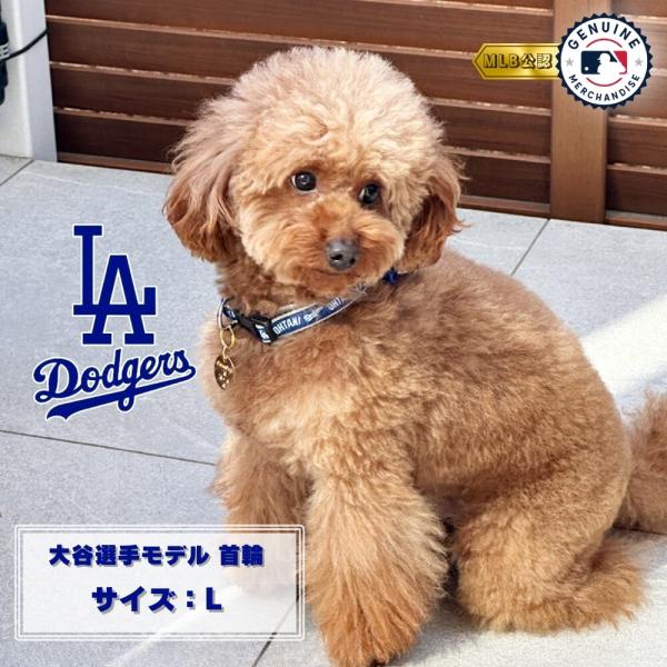 MLB公式 ドジャース 大谷カラー L [ファンタジーワールド]