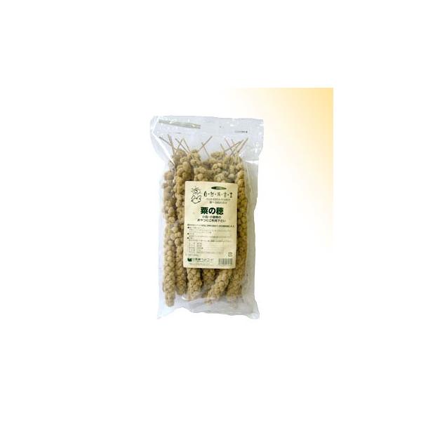 Rh錾 ̕ TOO [ybgt[h]