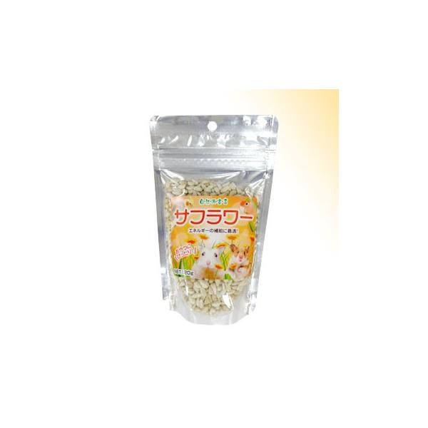 Rh錾 Tt[ PQO [ybgt[h]